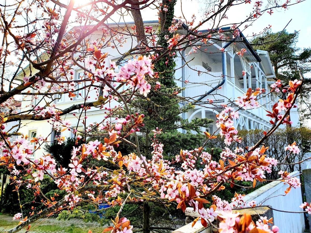 Villa Asta 宾茨 外观 照片