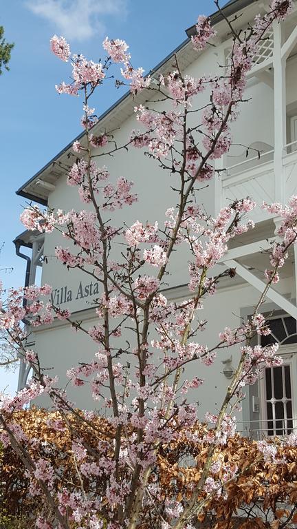 Villa Asta 宾茨 外观 照片